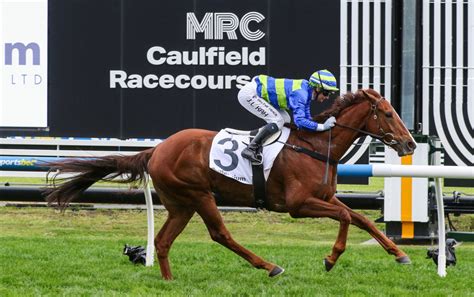 cf orr stakes horses